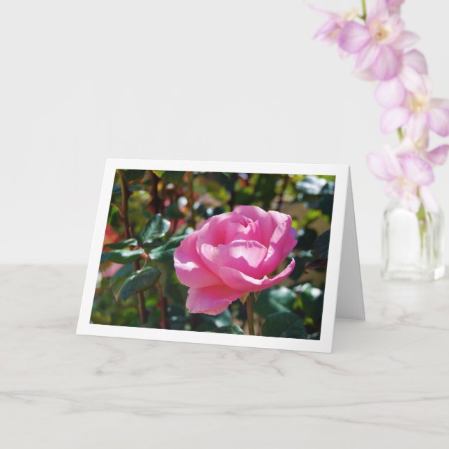 Pink Floral Garden Rose Card (Orchid)