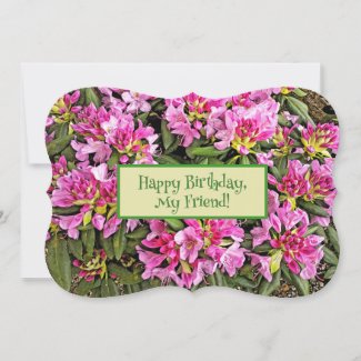 Pink Floral 