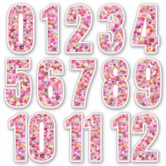 Pink Floral Numbers Twelve Months Sticker