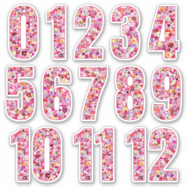 Pink Floral Numbers Twelve Months  Sticker (Front)