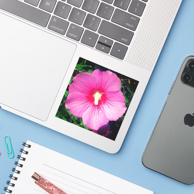 Pink Floral Photography  Sticker (Laptop w/ iPhone)