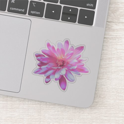 pink floral pink flower Pink Daisy pink sunflower Sticker