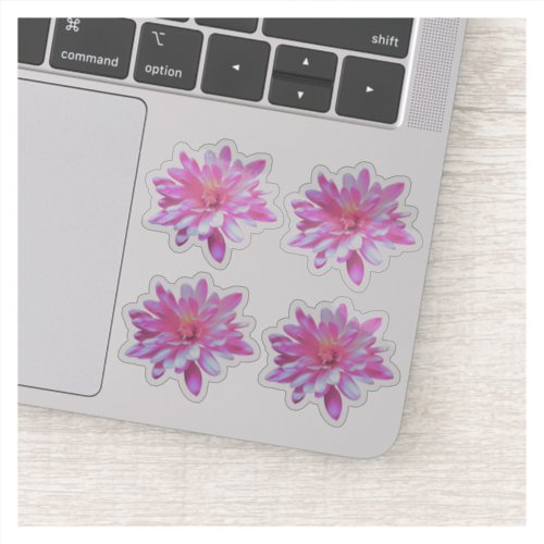 Pink floral pink flowers daisy sunflower sticker