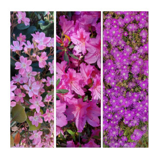 Pink Floral Popular Assortment Triptych