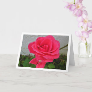 Pink Floral Rose Card