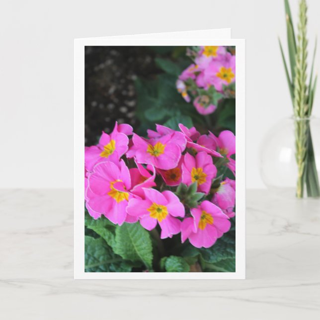 Pink Floral - Sister-in-Law Birthday Card (Front)