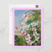 Pink Floral Spring Party Shower Peace Love Destiny Postcard (Front/Back)