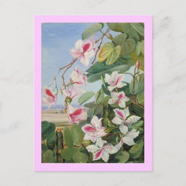 Pink Floral Spring Party Shower Peace Love Destiny Postcard (Front)