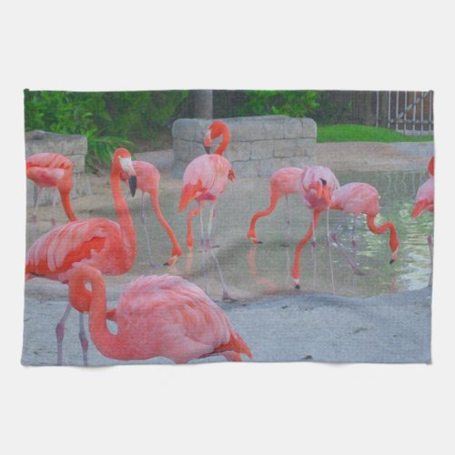 Pink Florida Flamingos Watercolor Kitchen Towel
