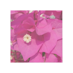 Pink Flower 12" x 12" Gallery Wrap