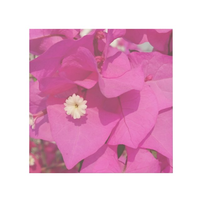 Pink Flower 12" x 12" Gallery Wrap (Front)