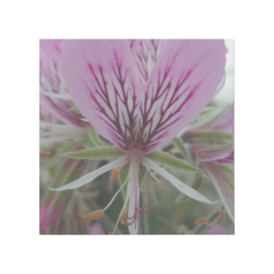 Pink Flower 12" x 12" Gallery Wrap