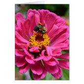 Pink flower and Bumble bee (Front)