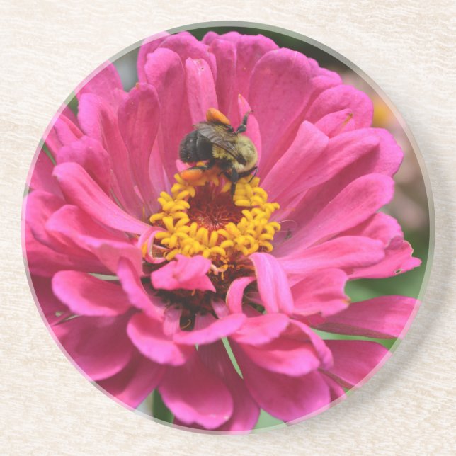 Pink flower and Bumble bee Sandstone Coaster (Front)