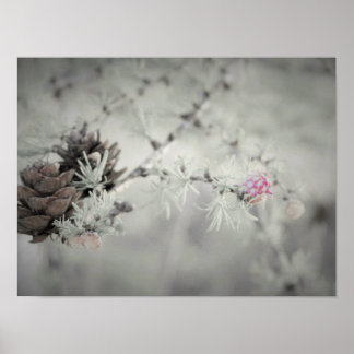 Pink flower at Larch Black and White Poster