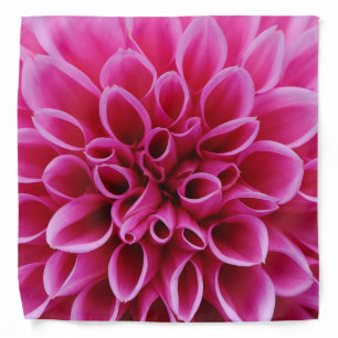 Pink Flower Bandana