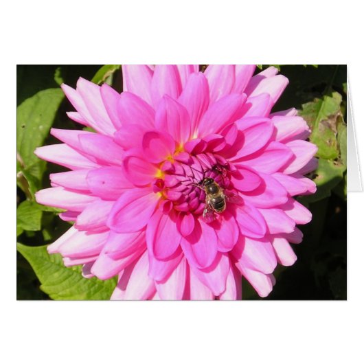 Pink Flower & Bee Card (Front Horizontal)