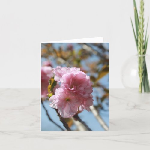 Pink Flower Blooms  Holiday Card