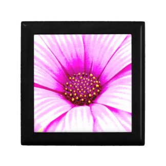Pink Flower Box