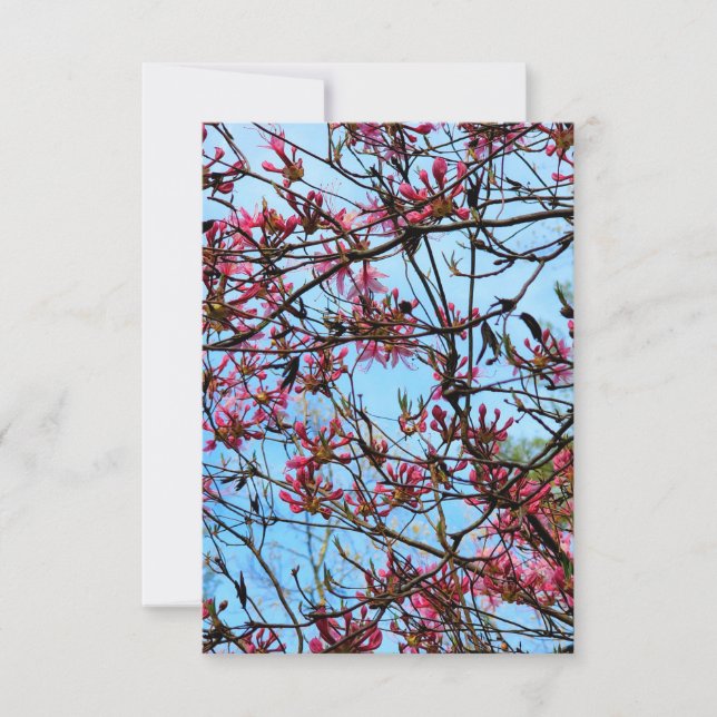 Pink Flower Buds on a Tree Invitation (Front)