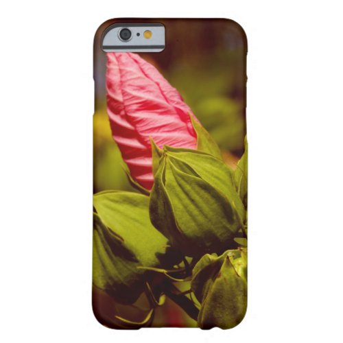 Pink Flower Bulb Photo iPhone  iPad case