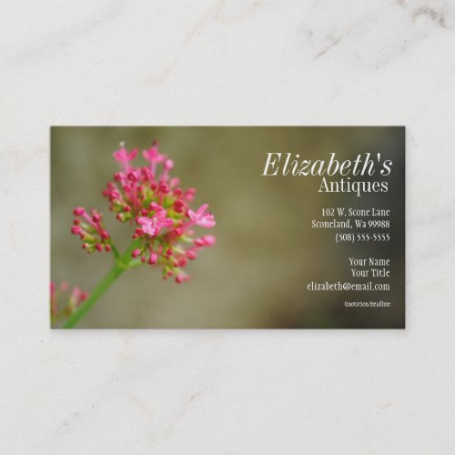 Pink Flower Business Card