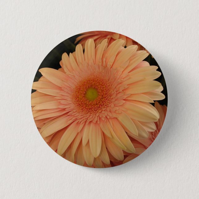 Pink Flower Button (Front)