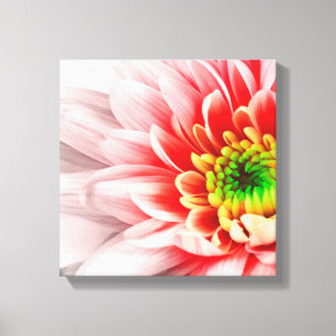 Pink Flower Canvas Print