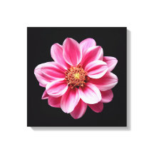 Pink Flower