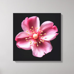 Pink Flower Canvas Print