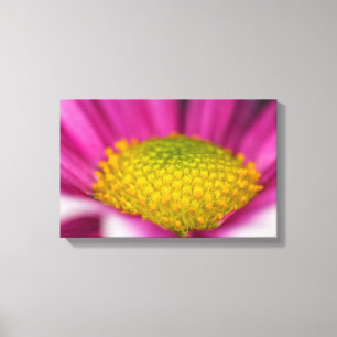 Pink flower Canvas print