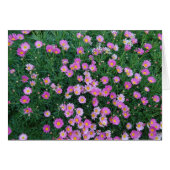 Pink Flower Card (Front Horizontal)