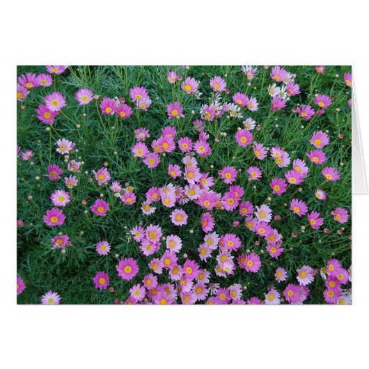 Pink Flower Card (Front Horizontal)