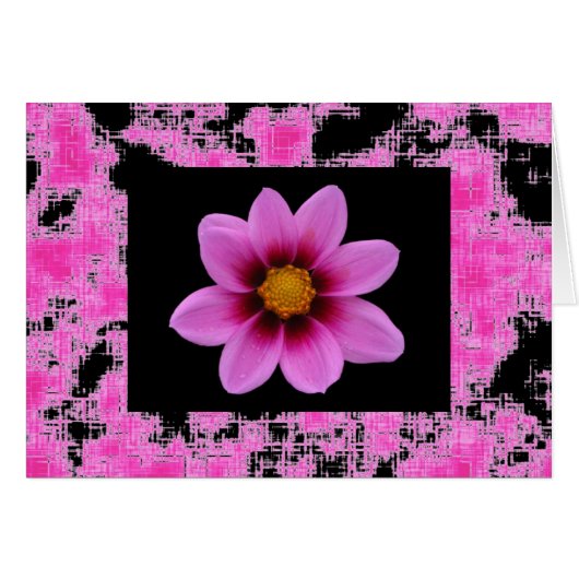 Pink Flower Cards (Front Horizontal)