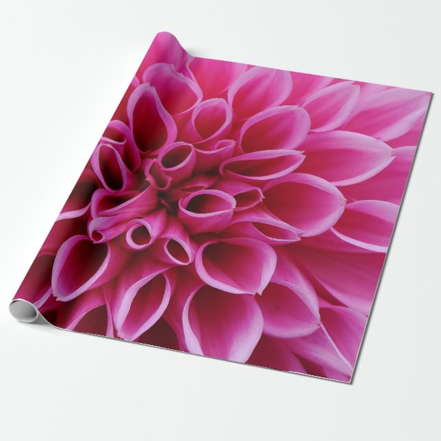 Pink Flower Close-up Wrapping Paper (Unrolled)