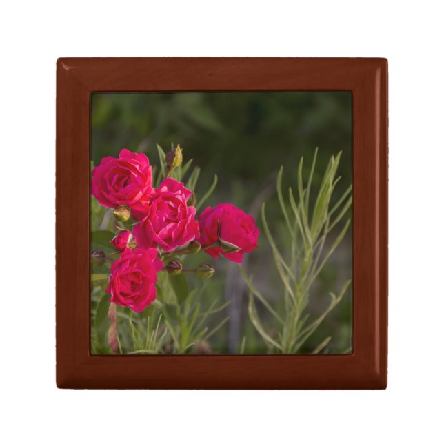 Pink Flower Gift Box (Front)