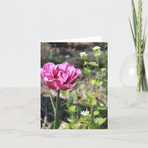 Pink Flower in the Garden Holiday Card