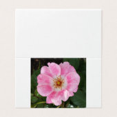 pink flower in the shade (Outside Unfolded)