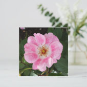 pink flower in the shade (Standing Front)