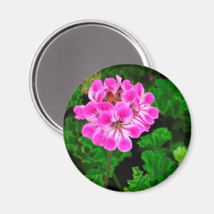 Pink Flower Magnet