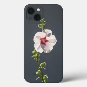 Pink Flower Mallow green leaves on dark grey iPhone 13 Case