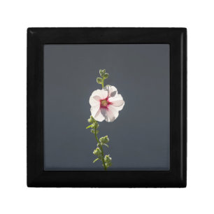 Pink Flower Mallow green leaves on dark grey Gift Box