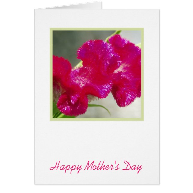 Pink Flower Mother's Day Card (Front)