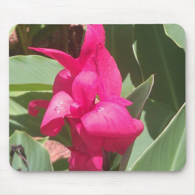 Pink Flower Mouse Pad (Front)