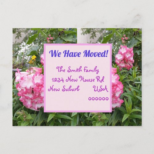Pink Flower New Address Postcard We Are Moving Postcard