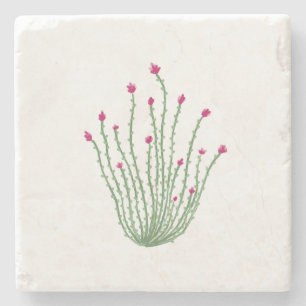 Pink Flower Ocotillo Cactus Desert Stone Coaster