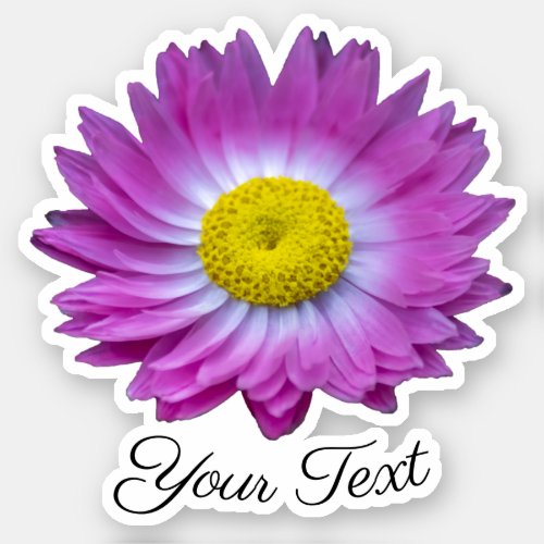 Pink flower petals with yellow stamps in spring sticker