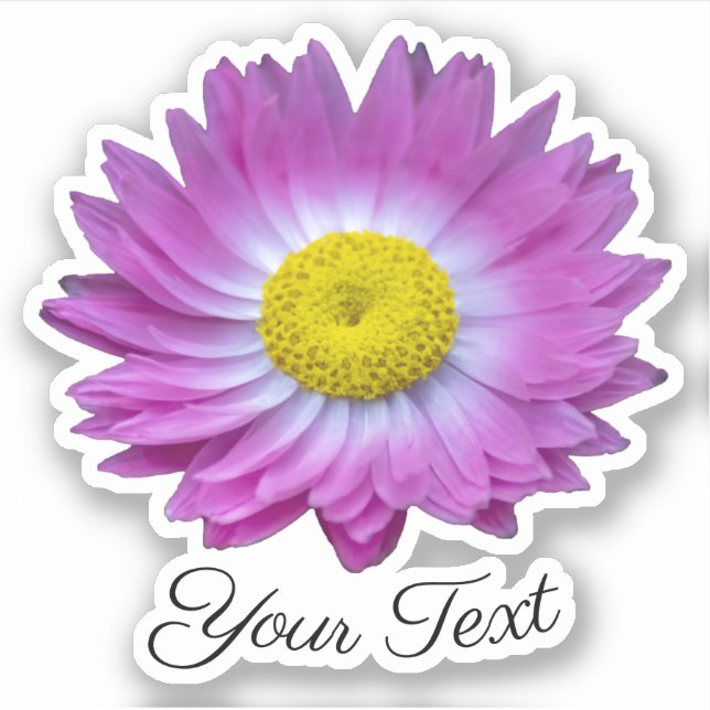 Pink flower petals with yellow stamps in spring sticker (Front)