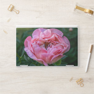 Pink Flower Photography, Canadian Peony HP Laptop Skin