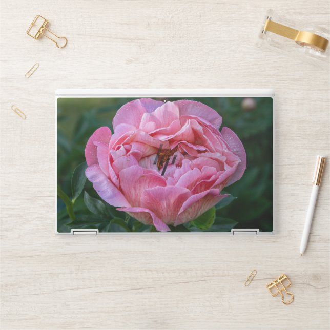 Pink Flower Photography, Canadian Peony HP Laptop Skin (Desk)